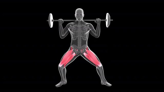 Barbell Lateral Lunges