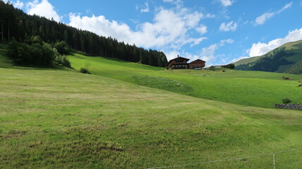 Austrian mountain landscape  with green grass and mountain house