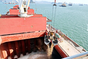 Loading bulk cargo of limestone from barges into a bulk carrier by using ship cranes and grabs at...