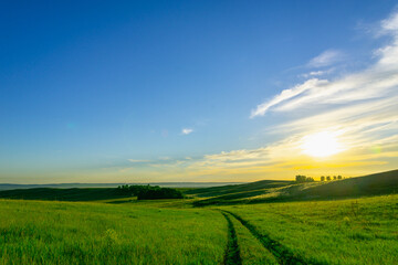 The road through the green field at sunset.