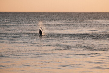 surfer during sunset