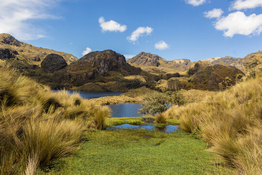 paramos andinos del parque nacional El Cajas en Cuenca - Ecuador