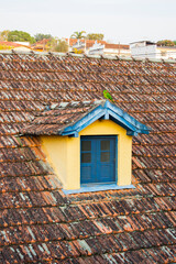 Roof window with a parrot