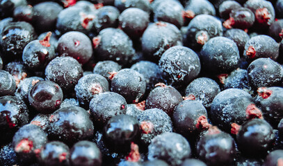 .Macro photo of frozen black currant  berries.