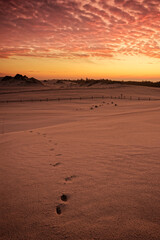 Wydmy piaskowe w trakcie wschodu słońca
