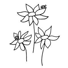 Hand drawn vector illustration of blooming flower. Logo design element for summer collection.