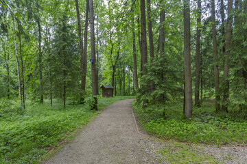 A path for pedestrians to walk in a green city park in the summer daytime