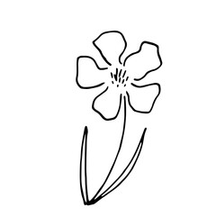 Hand drawn vector illustration of blooming flower. Logo design element for summer collection.