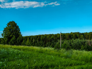 landscape with trees and sky