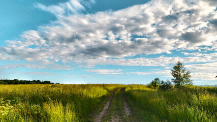 landscape with sky and green grass  field