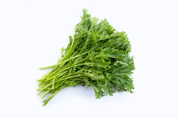 Mustard Green on white background. Copy space