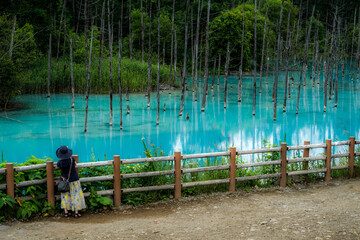 白金青い池（北海道美瑛町）