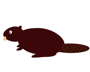 Cute surprised cartoon beaver vector