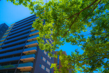 初夏の多摩センターの街並み