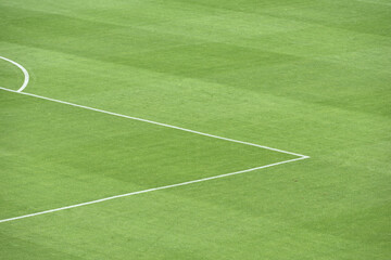 Green football field with nobody