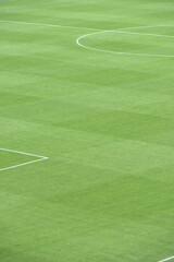 Obraz premium Green football field with nobody