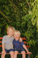 Beautiful vertical portrait image of two young blonde caucasian brothers sitting on bench seat...