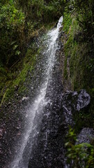 Obraz premium Cotopaxipungo