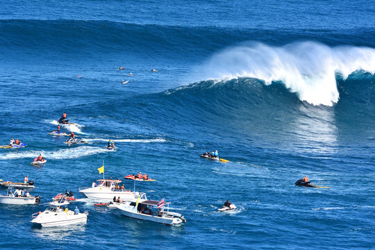★JAWS MAUI(ジョーズ マウイ)ポスター★ Amazon.com: Jaws - Maui Hawaii - Big Wave Surfing - Vintage