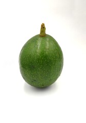 avocado on a white background