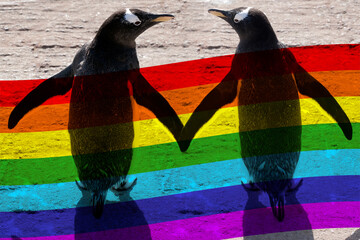 LGBT or GLBT is an initialism that stands for lesbian, penguin, gay, bisexual, and transgender. Is...