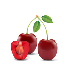 Cherry Healthy Organic Fresh Fruit Summer Isolated Vector Illustration
