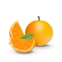 Orange Healthy Organic Fresh Fruit Summer Isolated Vector Illustration