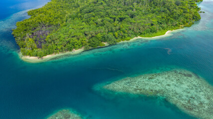Fototapeta na wymiar Unihabited tropical island and nearby reef.