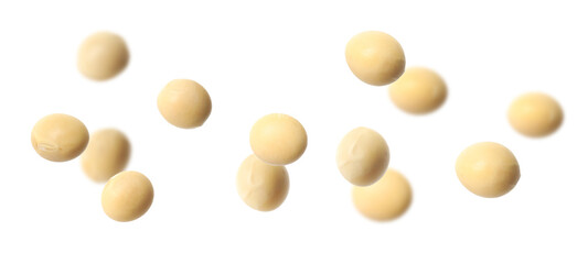 Many soy beans falling on white background, banner design. Vegan diet