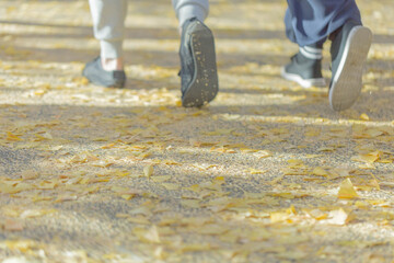 落ち葉と後ろ姿