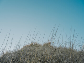 Obraz premium Sunset on the beach