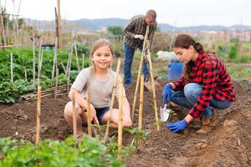 Farmers family, mother and daughter together planting seedlings at a farm on a sunny day