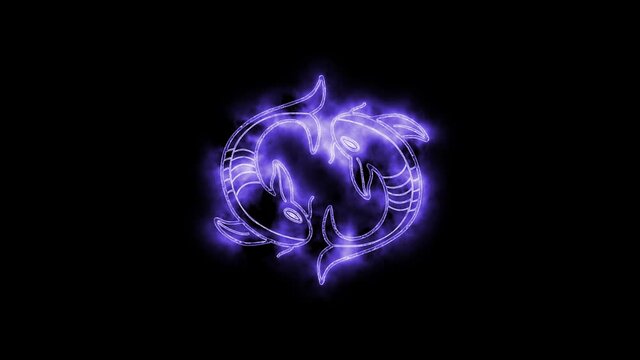 The Pisces zodiac symbol animation, horoscope sign lighting effect purple neon glow. Royalty high-quality free stock of Pisces isolated on black background. Horoscope, astrology icons motion