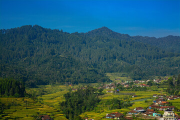 Fototapeta na wymiar Scenery in the mountains surrounded by people's houses. Indonesia nature landscape