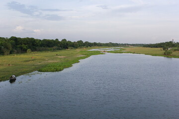 Fototapeta premium landscape with river