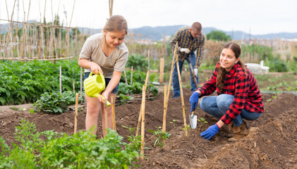 Daughter helps mom to water plants from a watering can in a farm field