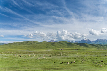 Mountains and grasslands along G217 highway in Xinjiang, China in summer