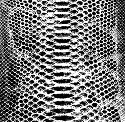 Vector snake skin background. Black and white texture