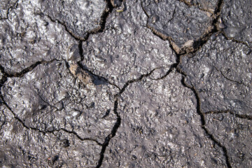 Cracks in the ground after rain. Dried earth with cracks