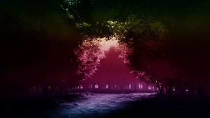 Obraz premium dark forest fire