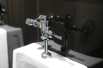 Close up flush toilet button for cleaning. - save water concept.