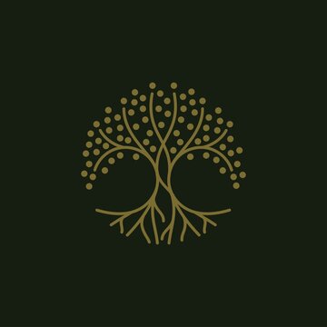 Round tree logo design illustration vector template