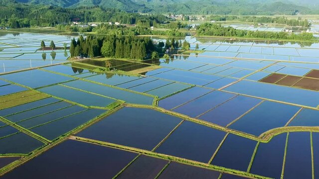 空撮　秋田県の田園風景　6月　快晴　水が張った水田　田植え　日本