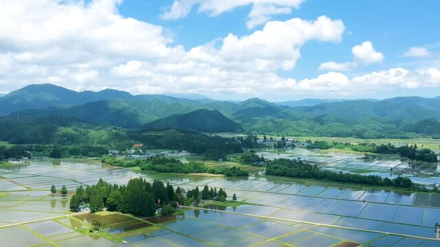空撮　秋田県の田園風景　6月　田植え後の水田　青空と雲	
