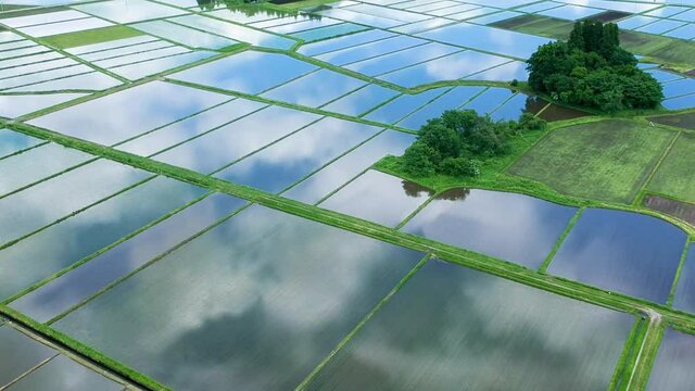 空撮　秋田県の田園風景　6月　田植え後の水田　青空と雲