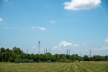rice farm with radio transmitter tower and high voltage tower on background stock phtoto