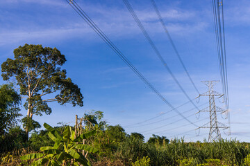 Landscape view of high voltage electric and electrical wires in the verdant meadow on deep blue sky background. High electric power transmission line tower is located in meadow. Thailand.