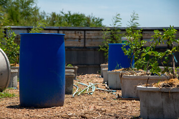 recycle garden homemade in backyard on sunny bluesky weather