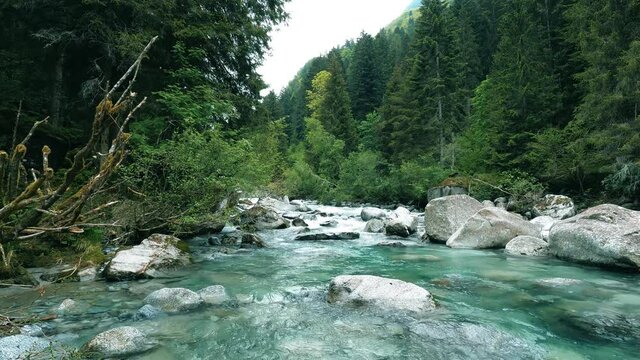 Panorama of the River Sarca - Valley Genoa Dolomites