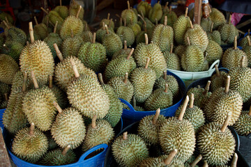 Thai durian market